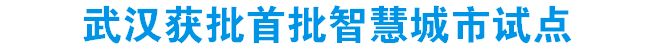 武汉获批首批智慧城市试点